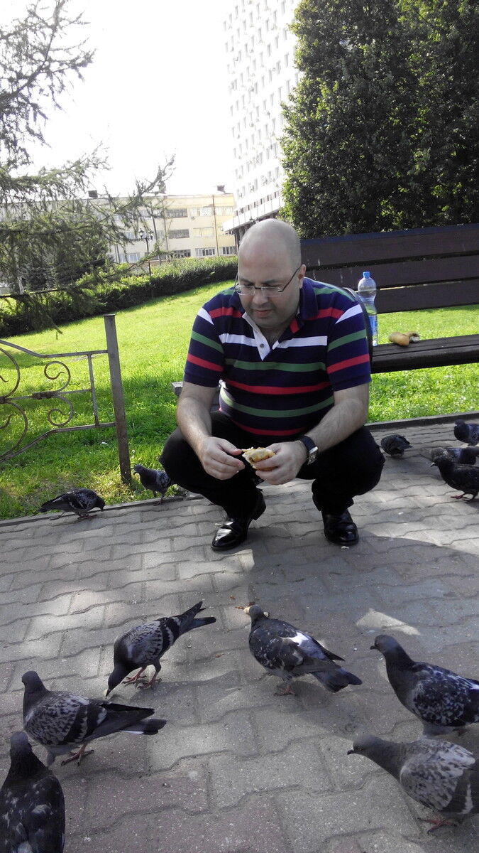 ���������� �������, ���� ������� ���������, 50 ���, ������������ ��� ����� � ���������, c�������� ���������, ���������