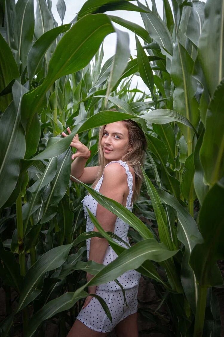 ���������� �����-���������, ���� ������� ��������, 36 ���, ������������ ��� c�������� ���������