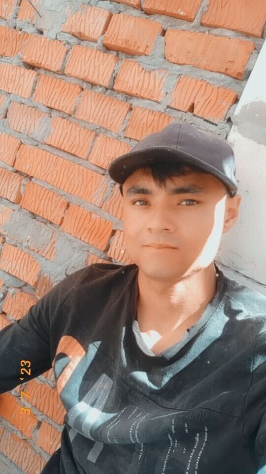  49586705  , 24 ,    