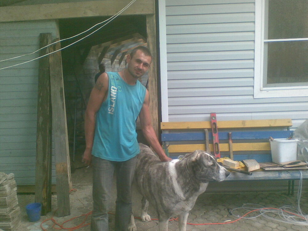 ���� 10555845 ������� �����, 40 ���, ���� ���������� � �����