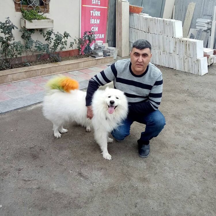 ,   Anar, 43 ,   ,   