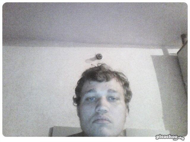  17146135  C, 28 ,    