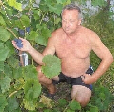  ,   Valeri, 56 ,   ,   , c 