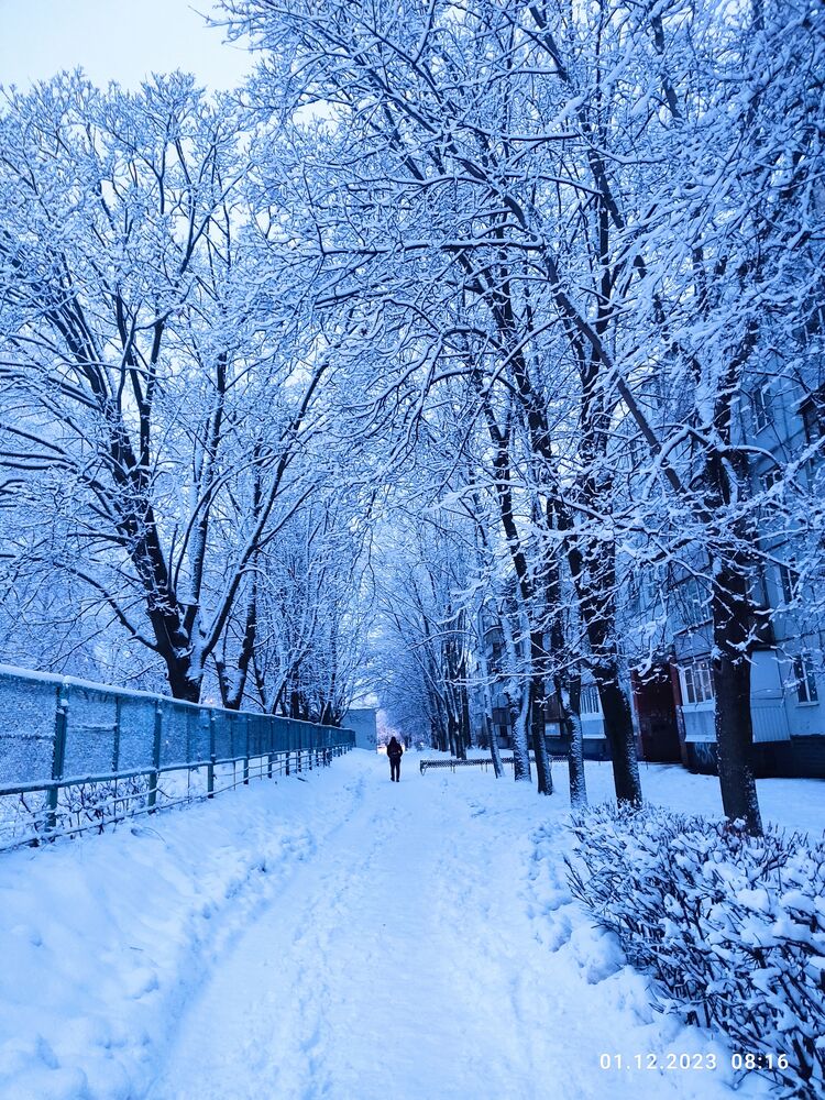 ���������� ��������, ���� ������� ����, 40 ���, ������������ ��� ������, ����� � ���������