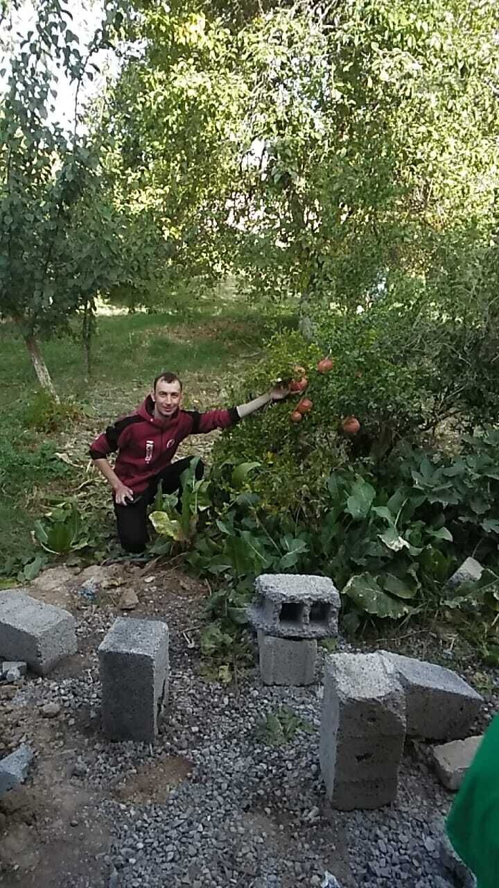 ���� 37784875 ������� ������, 43 ����, ���� ���������� � ���������� ������