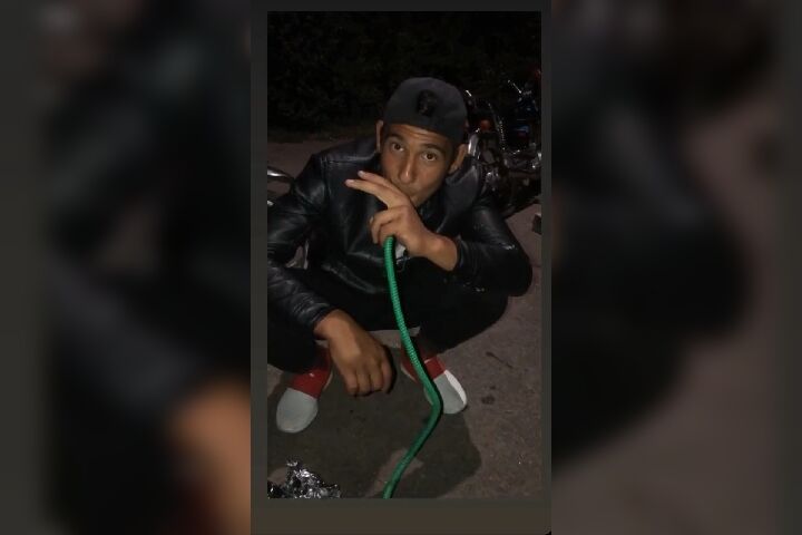  24422655  , 22 ,    