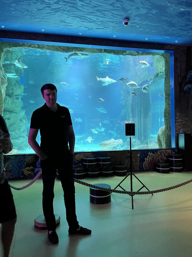 ���������� �����������, ���� ������� ����������, 41 ���, ������������ ��� ������, ����� � ���������