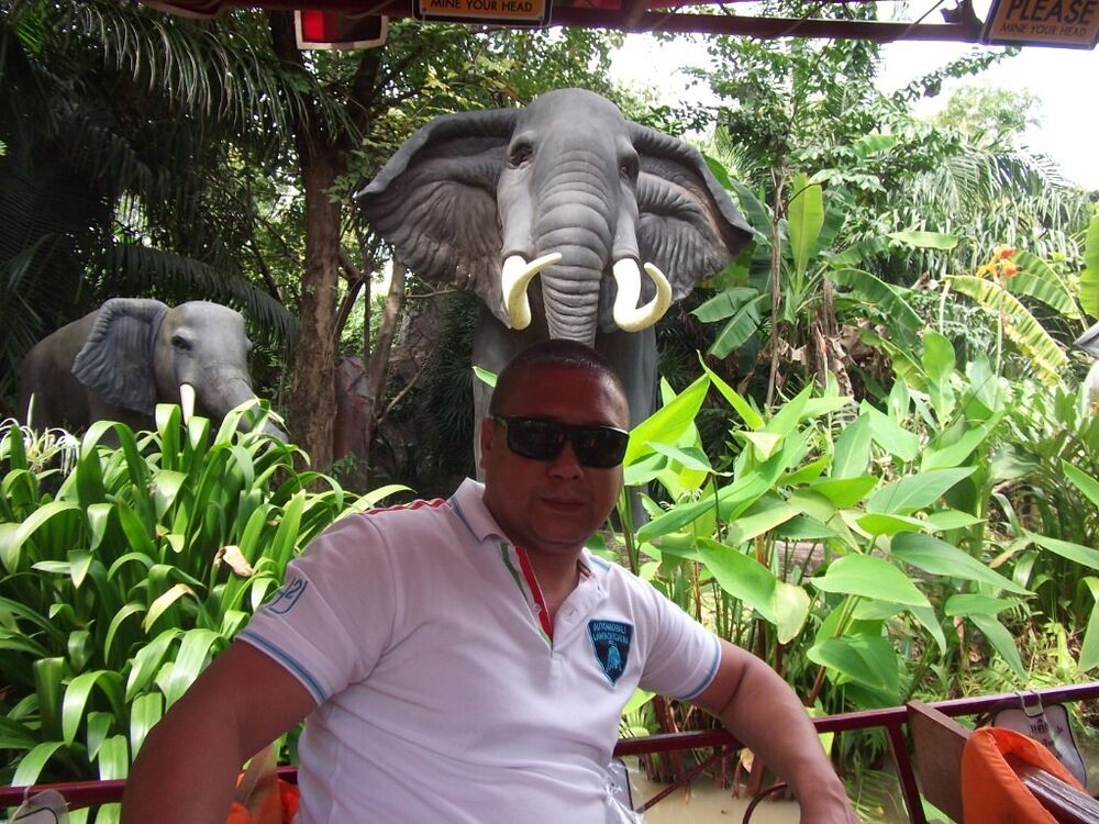  ,   , 45 ,   ,   , 
