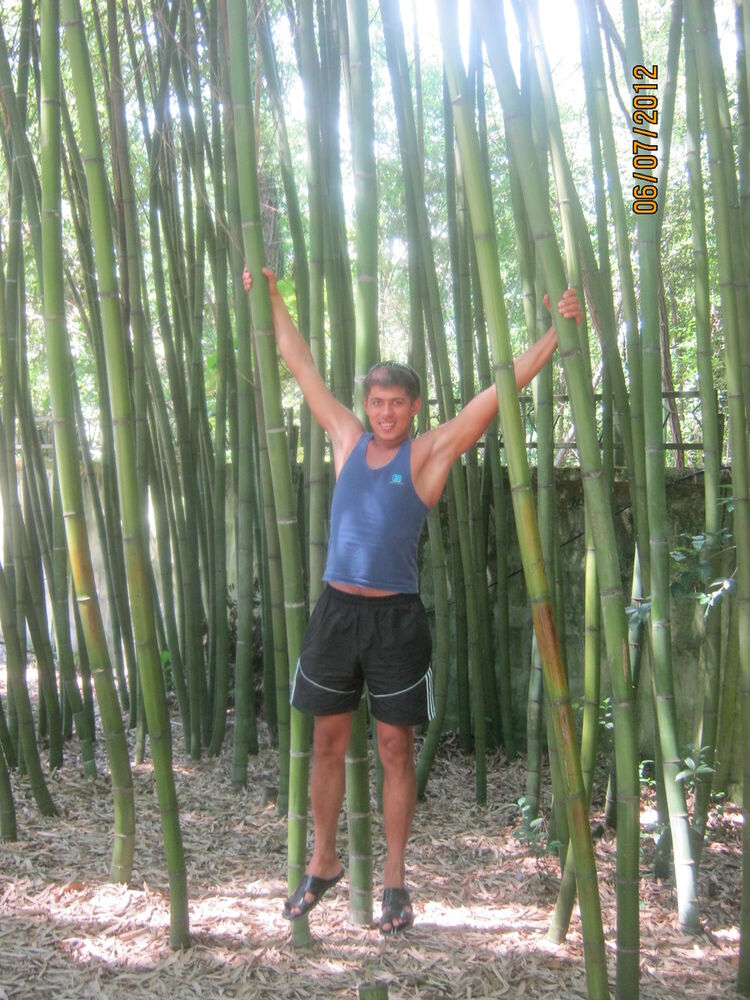 ���������� ������, ���� ������� Max, 41 ���, ������������ ��� ������, ����� � ���������, c�������� ���������