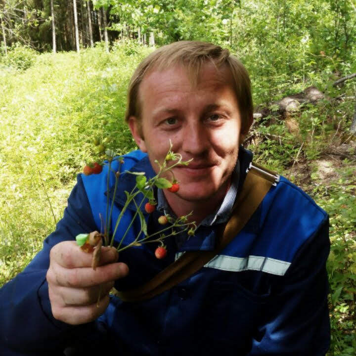 ���������� �����-���������, ���� ������� ������, 45 ���, ������������ ��� c�������� ���������, ���������