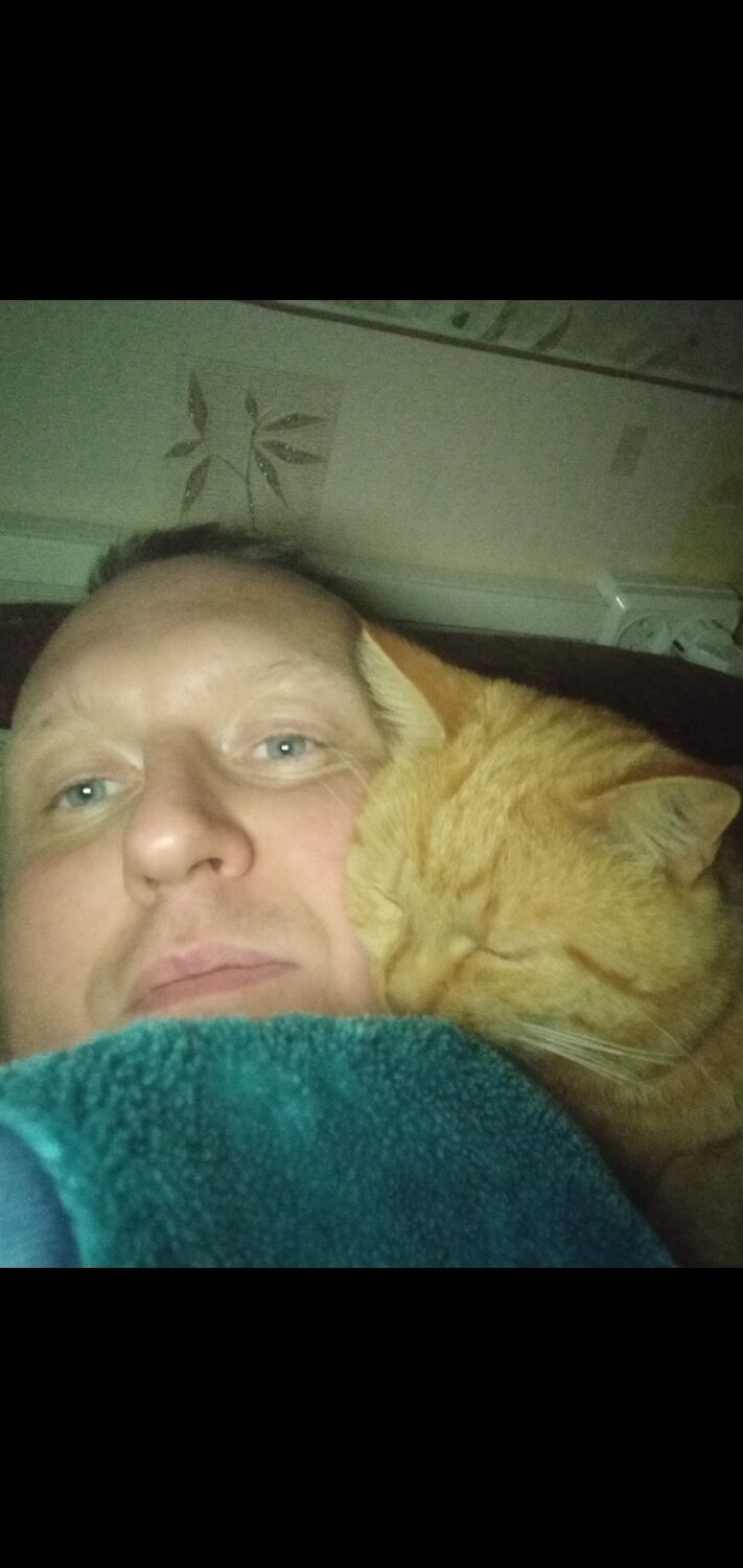 ���� 51774695 ������� �������, 48 ���, ���� ���������� � �������