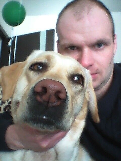 ���� 9294695 ������� ���, 40 ���, ���� ���������� � �������