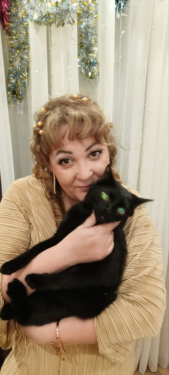 ���������� ��������, ���� ������� �����, 48 ���, ������������ ��� ����� � ���������, c�������� ���������