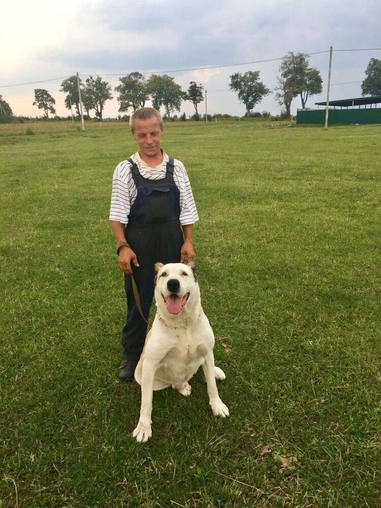  ,   , 39 ,   ,   , c , 