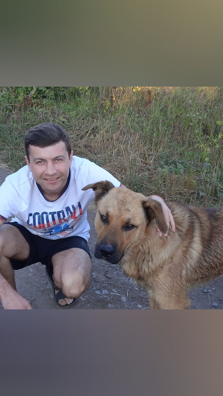 ���� 32215755 ������� �����, 36 ���, ���� ���������� � ���