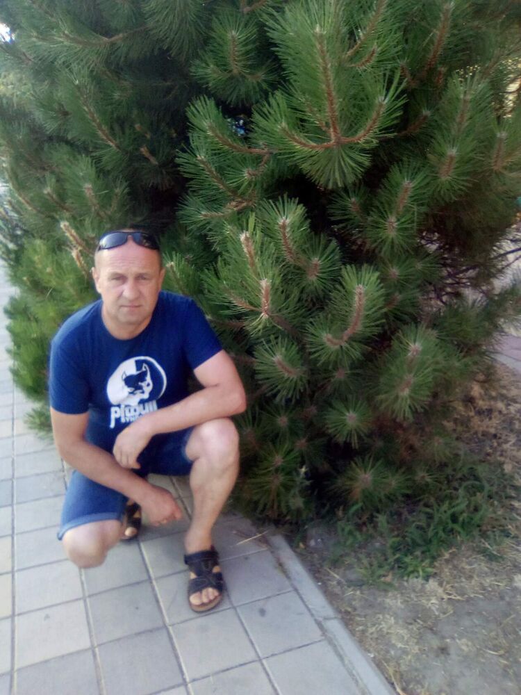  50383725  , 55 ,    --