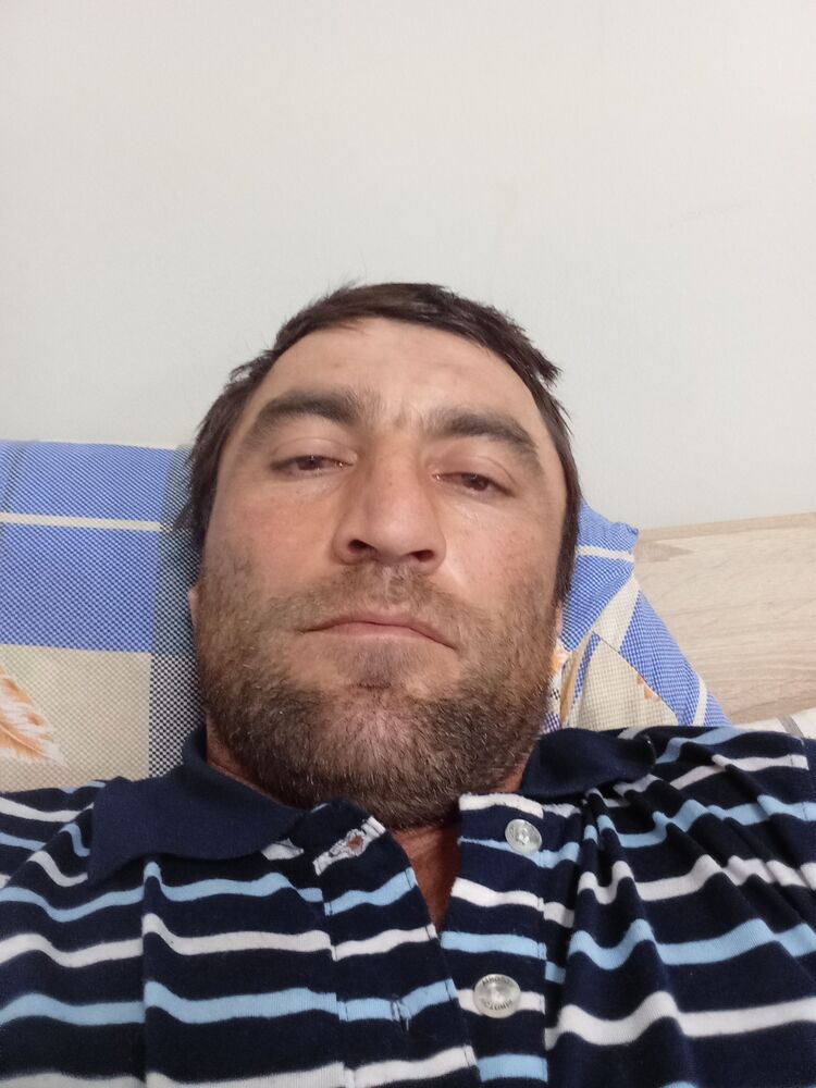  46324385  , 36 ,     