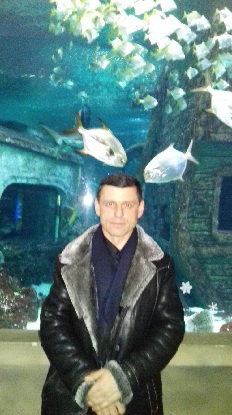 ���������� �������, ���� ������� �������, 50 ���, ������������ ��� ������, ����� � ���������, c�������� ���������