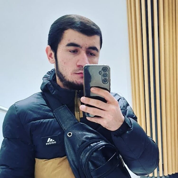  41585355  , 24 ,    -