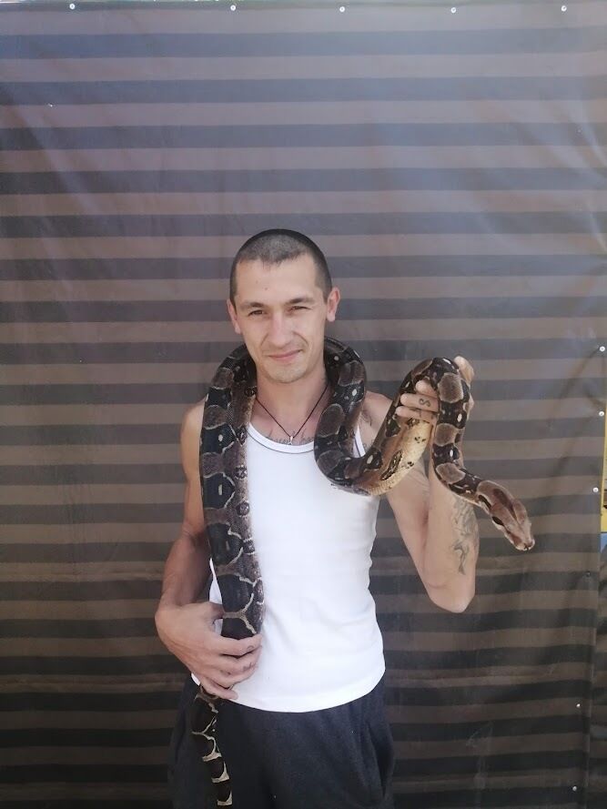 ���� 45085075 ������� �������, 33 ����, ���� ���������� � �����