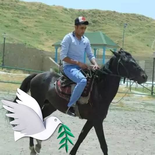  53048355  , 39 ,    