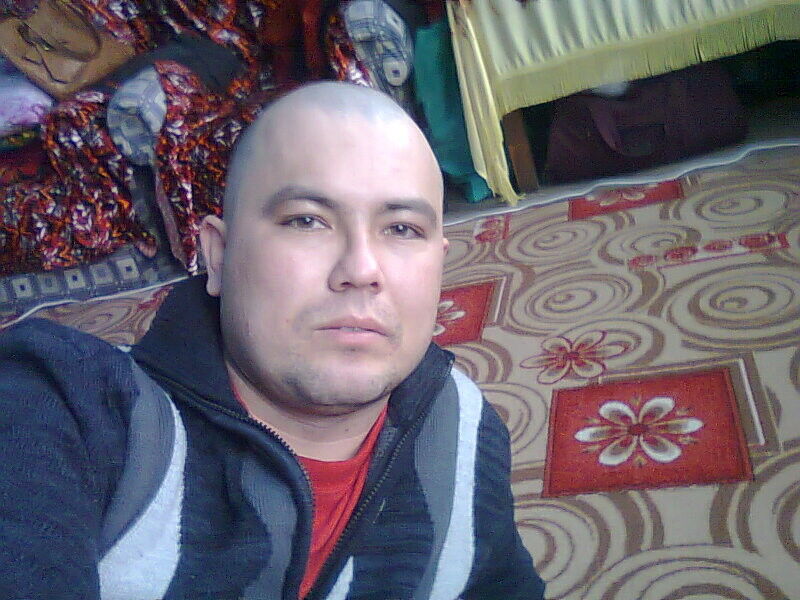  4044615  87773236066, 41 ,    