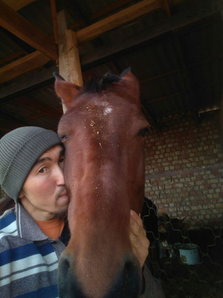 ���� 24532895 ������� �������, 27 ���, ���� ���������� � �������