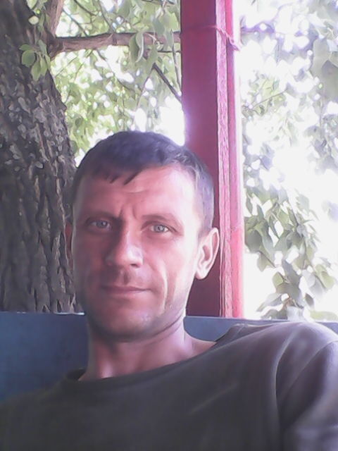  12716155  , 42 ,    