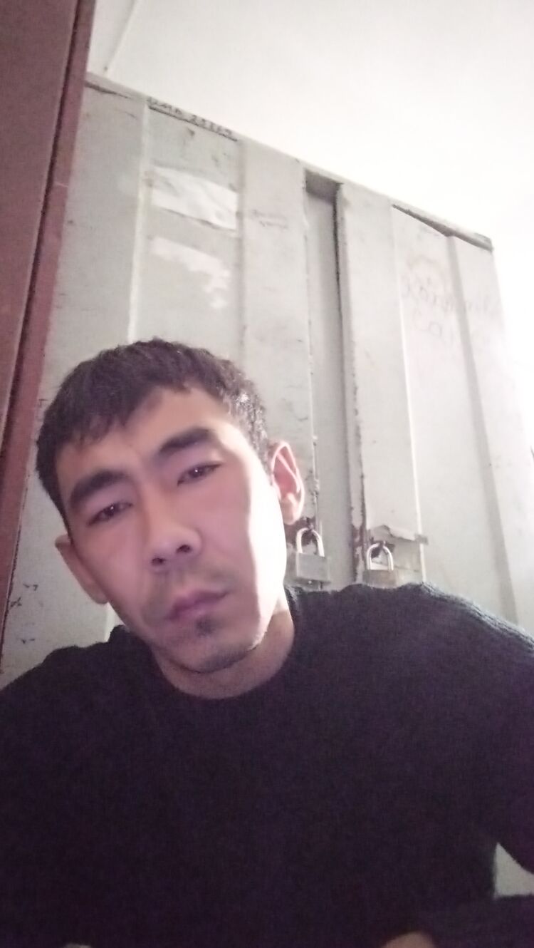  33046015  , 33 ,    