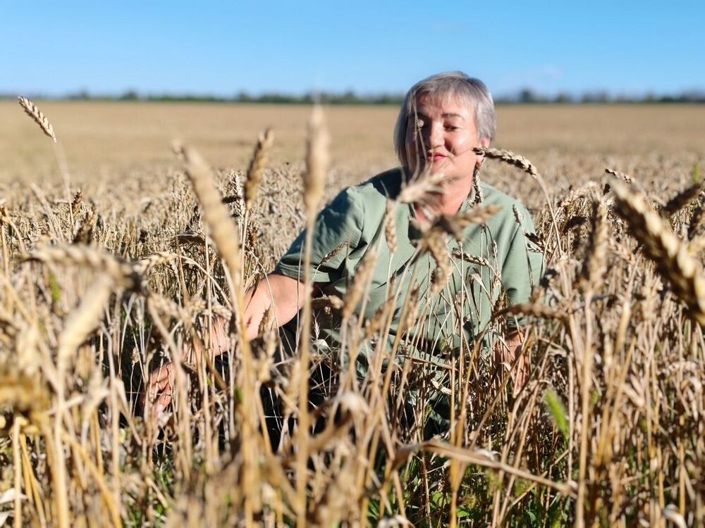 ���������� �������, ���� ������� ��������, 58 ���, ������������ ��� ������, ����� � ���������, c�������� ���������