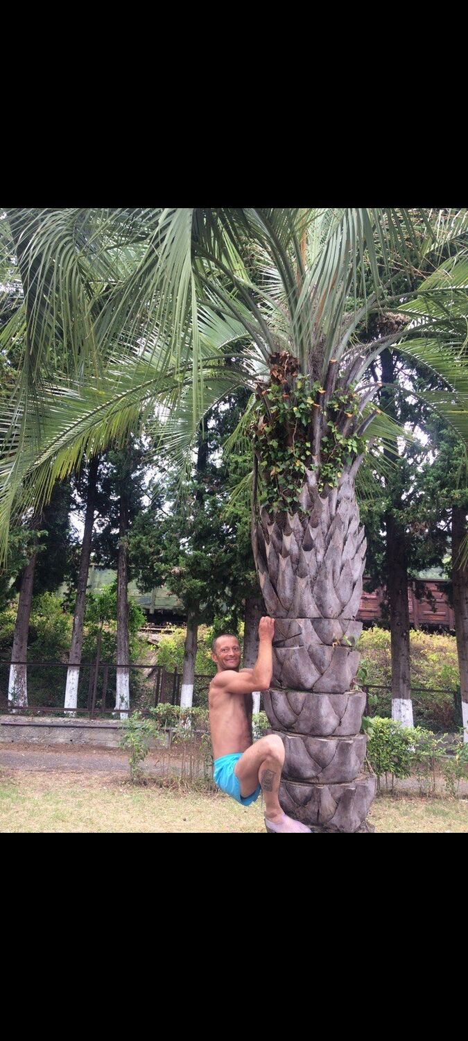 ���������� �������������, ���� ������� And, 46 ���, ������������ ��� c�������� ���������