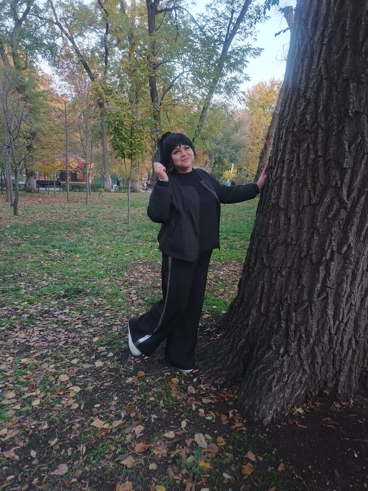  54803165  , 46 ,    --