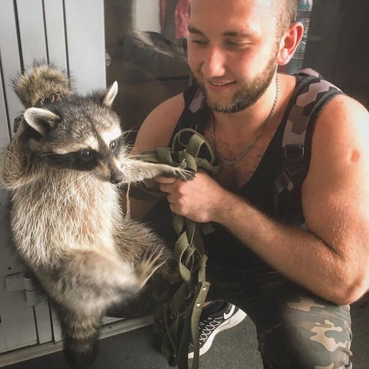 ���������� �����������, ���� ������� Timur, 31 ���, ������������ ��� ������, ���������