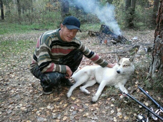 ���� 6825785 ������� ���������, 45 ���, ���� ���������� � ������