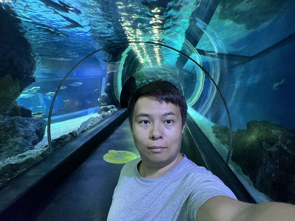 ���������� ������, ���� ������� ����, 35 ���, ������������ ��� ������, ���������