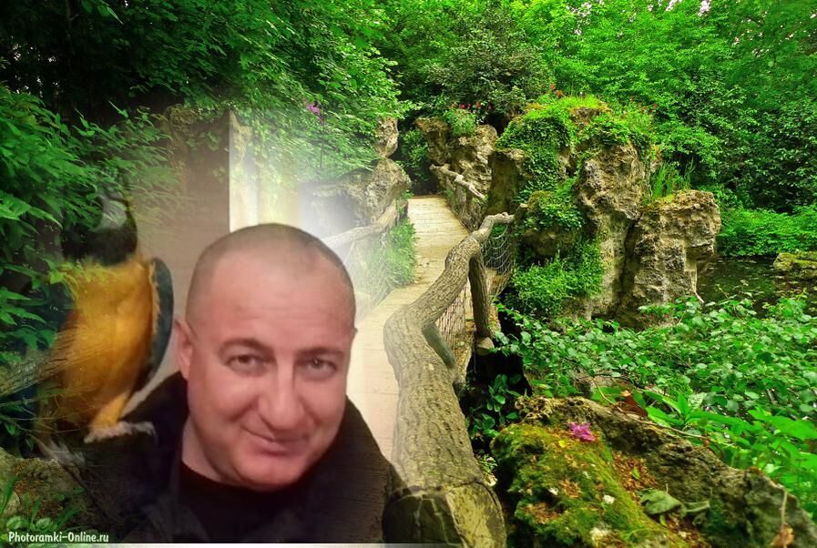 ���������� ����������, ���� ������� ��������, 45 ���, ������������ ��� ������, ����� � ���������