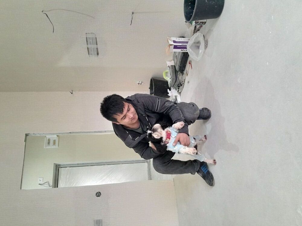 ���� 42881835 ������� ���, 27 ���, ���� ���������� � ������