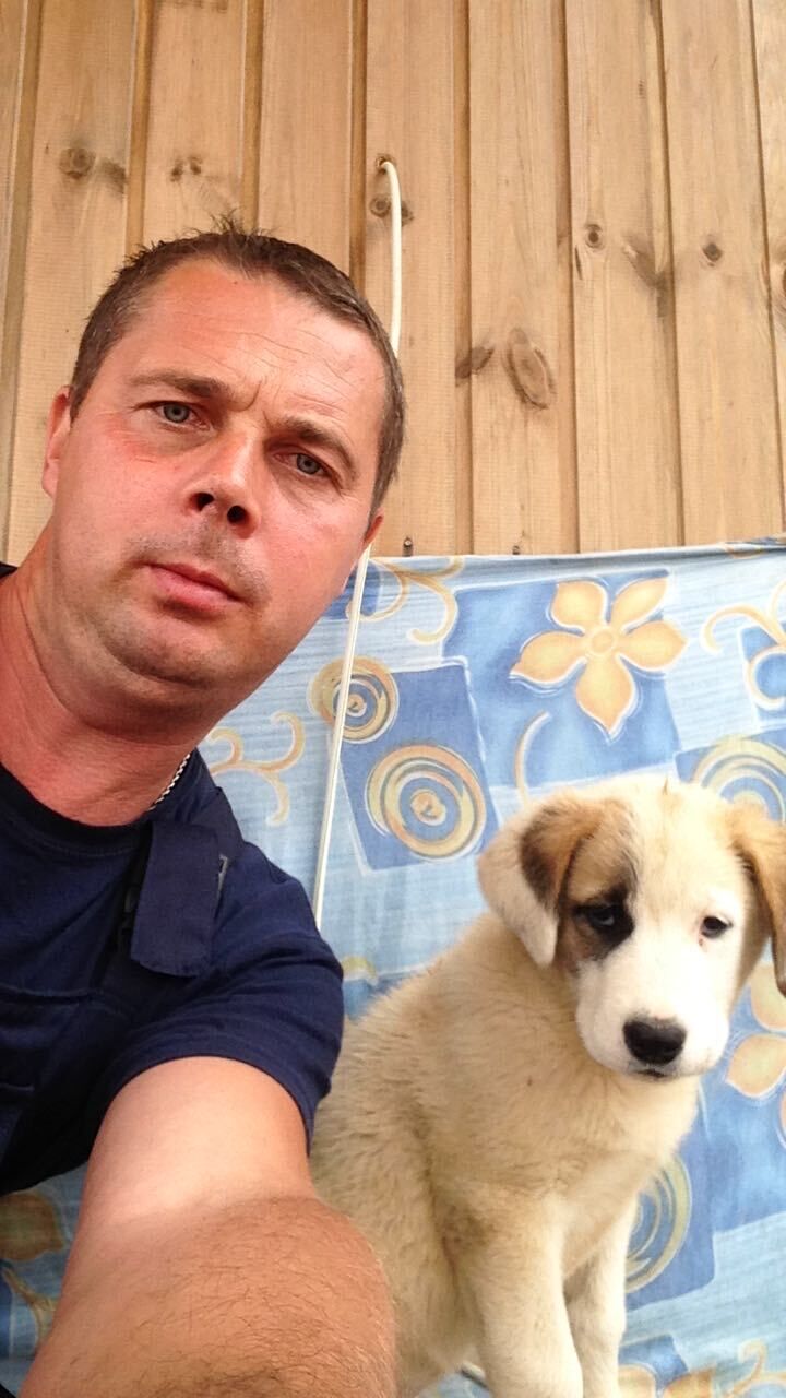 ���� 24425245 ������� ��������, 45 ���, ���� ���������� � ������