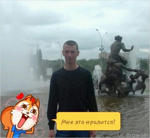  8528615  , 34 ,    