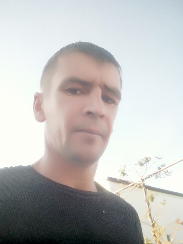  21841555  , 40 ,    