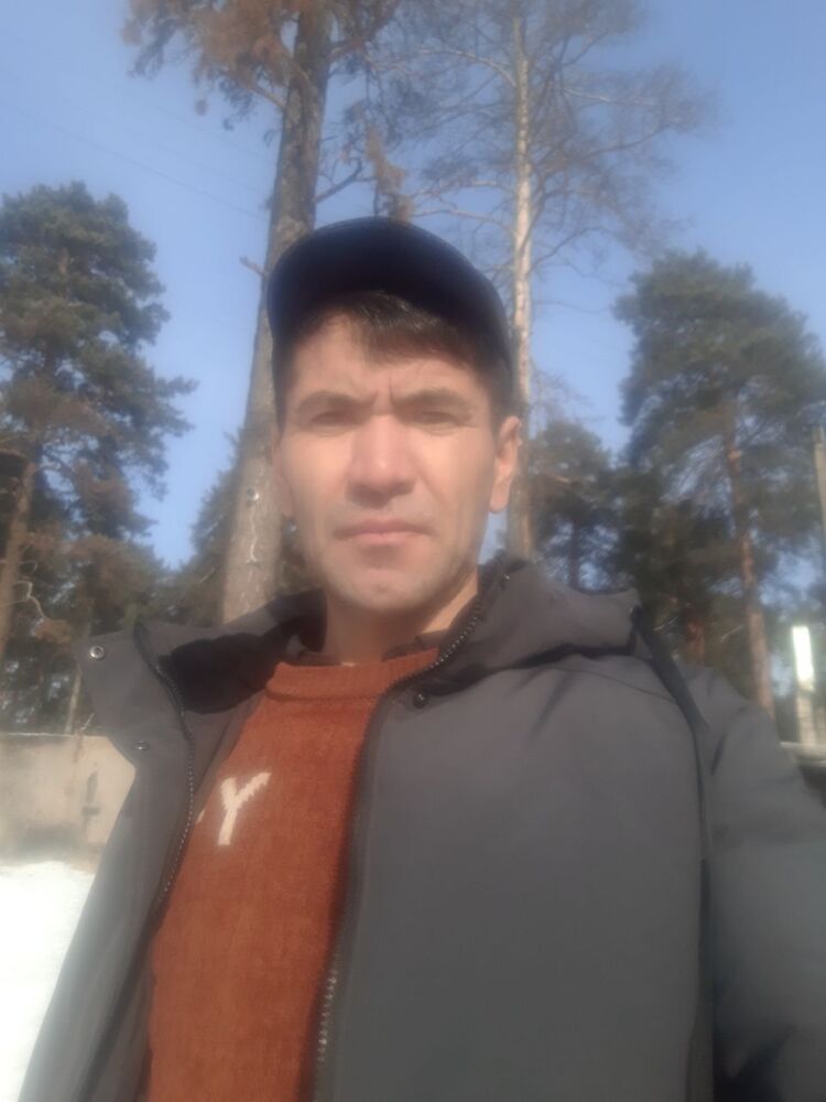  29136395  , 40 ,    