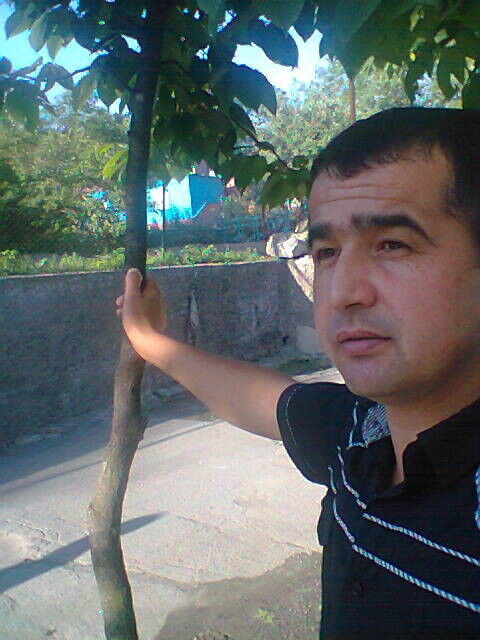  ,   , 45 ,   