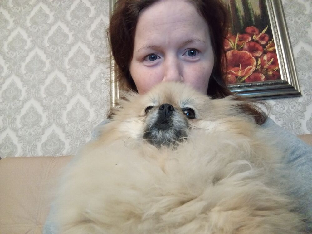 ���������� ������, ���� ������� ���������, 29 ���, ������������ ��� ����� � ���������, c�������� ���������