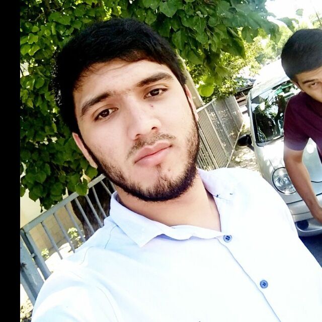 ���� 24351555 ������� Aristocrat, 30 ���, ���� ���������� � ��������