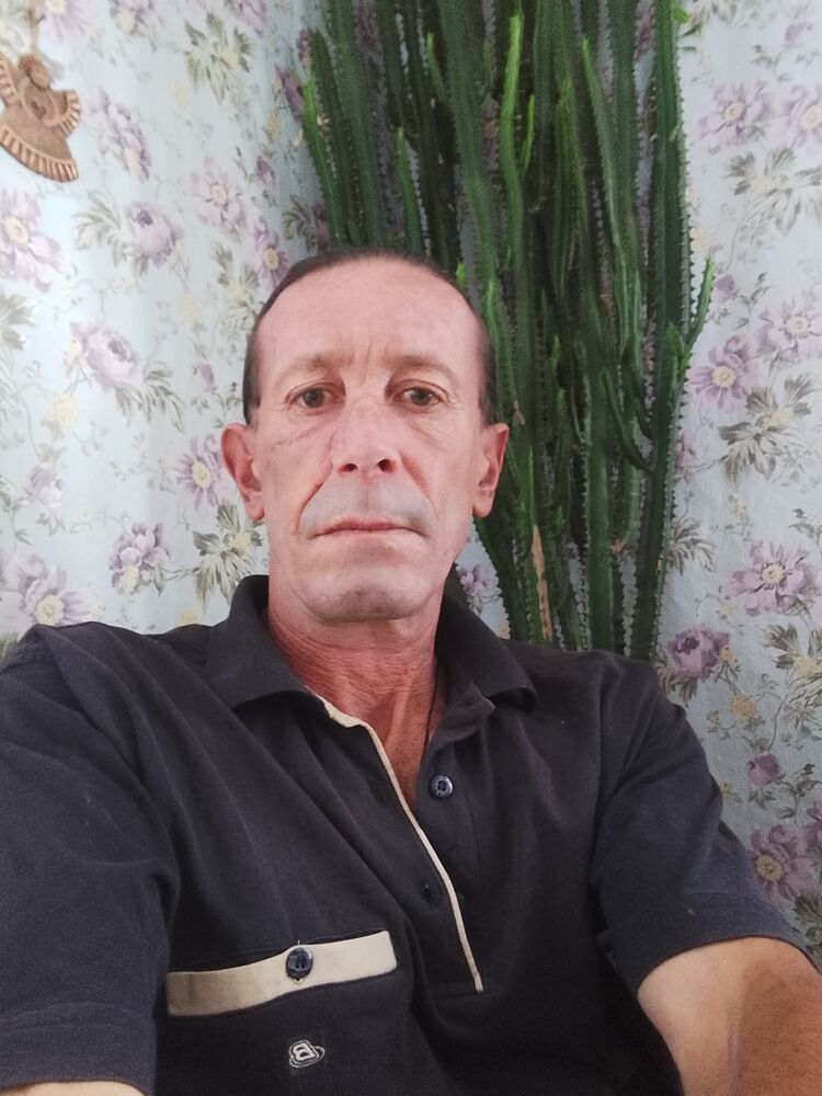  36047235  , 49 ,    