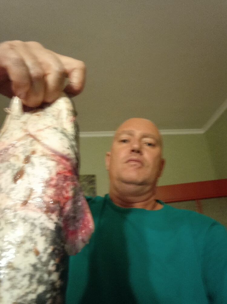  ,   , 50 ,   ,   