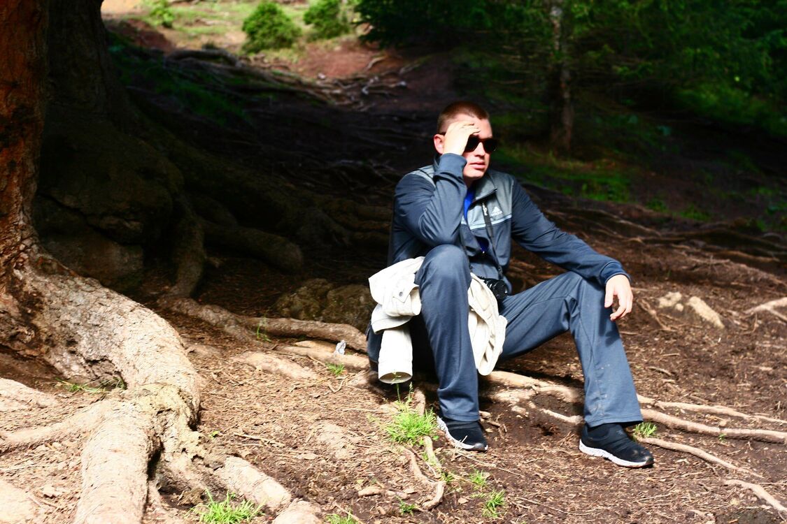  29817925  , 44 ,    -