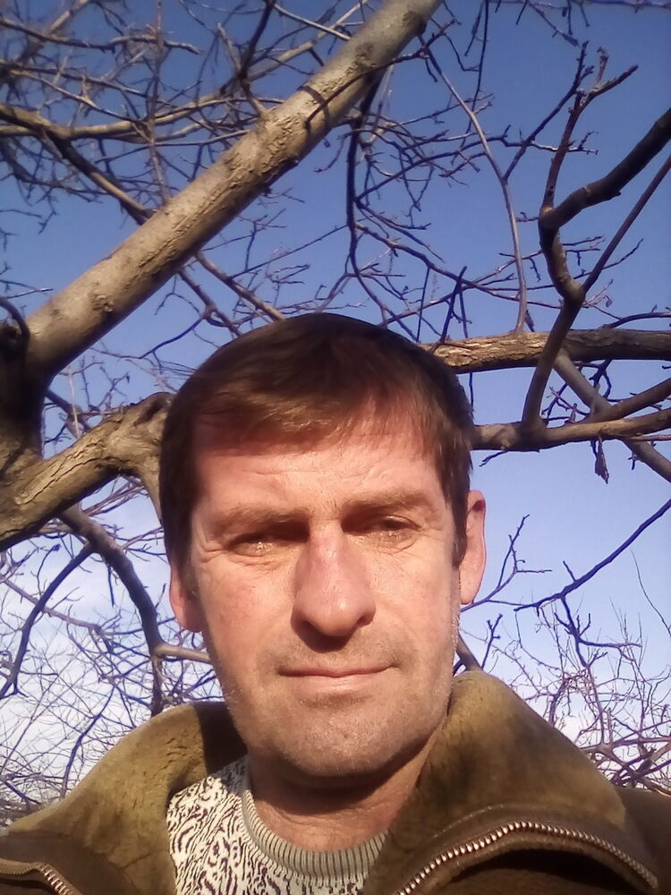  ,   Vitalik, 50 ,   ,   , c 