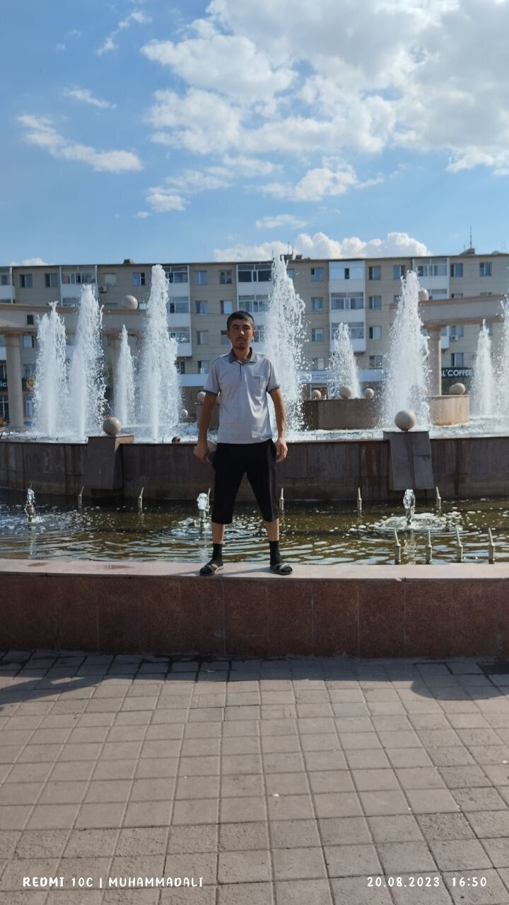  38039675  , 39 ,    