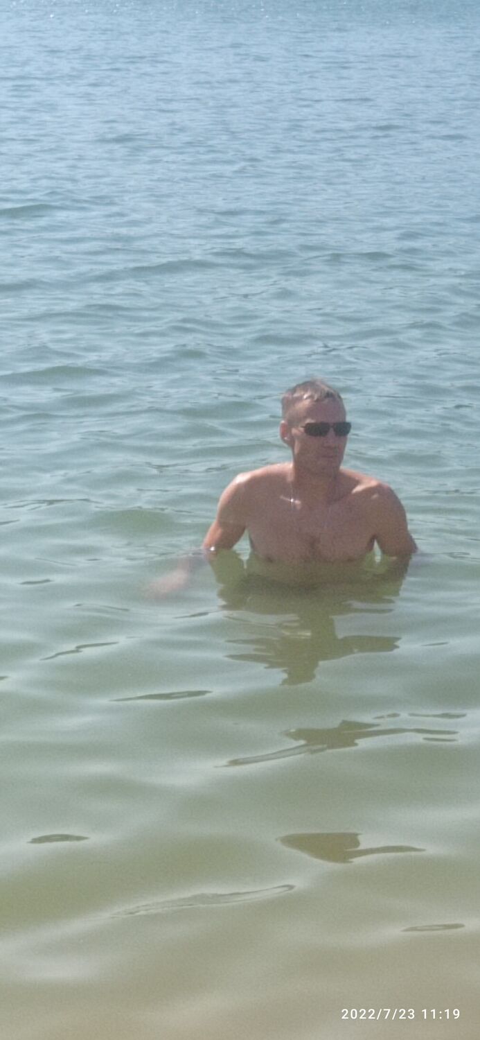  28602485  , 43 ,    -